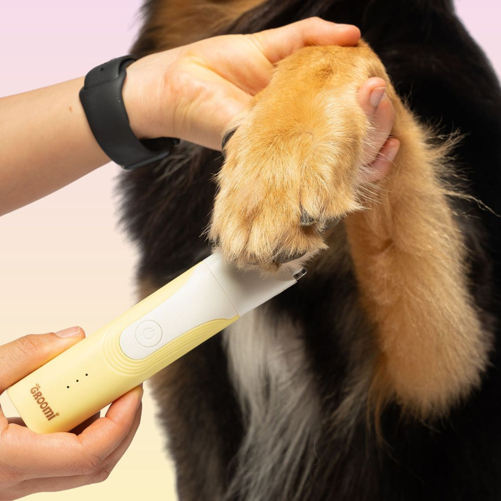 GROOMI 4-in-1 Pet Trimmer & Nail Kit: premium cordless PawSafe grooming tool for dogs and cats with precision heads for paws, body and nails, beginner-friendly design, quiet motor, safe nail guard and stainless-steel ceramic blades for stress-free grooming.