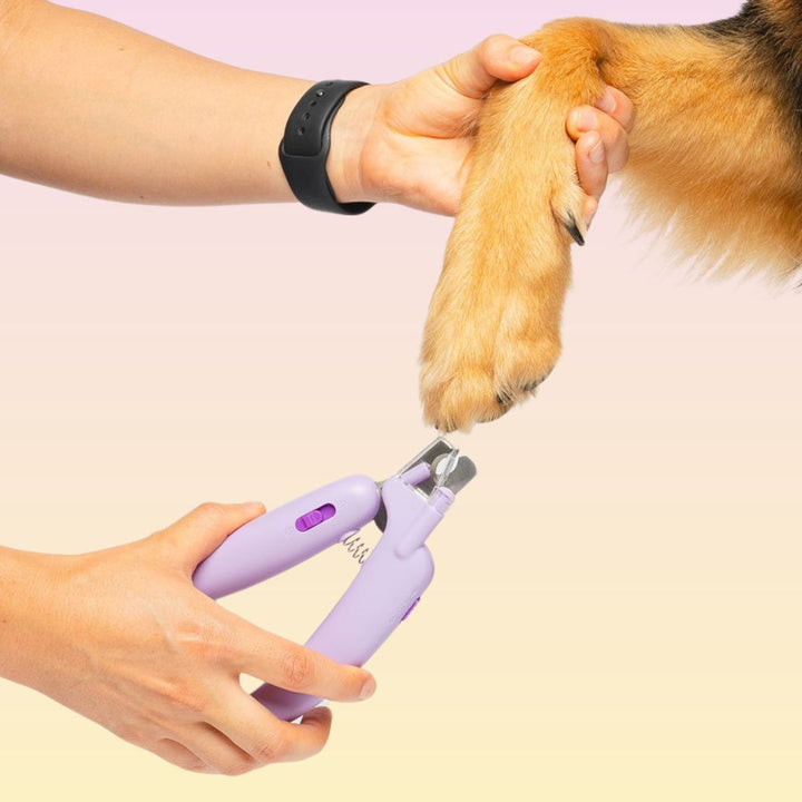 GROOMI™ 4-In-1 Nail Clipper