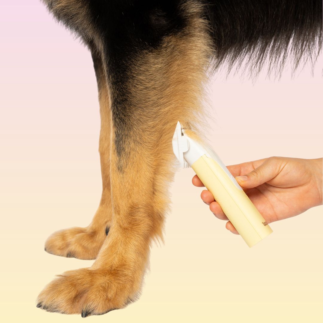 GROOMI 4-in-1 Pet Trimmer & Nail Kit: premium cordless PawSafe grooming tool for dogs and cats with precision heads for paws, body and nails, beginner-friendly design, quiet motor, safe nail guard and stainless-steel ceramic blades for stress-free grooming.
