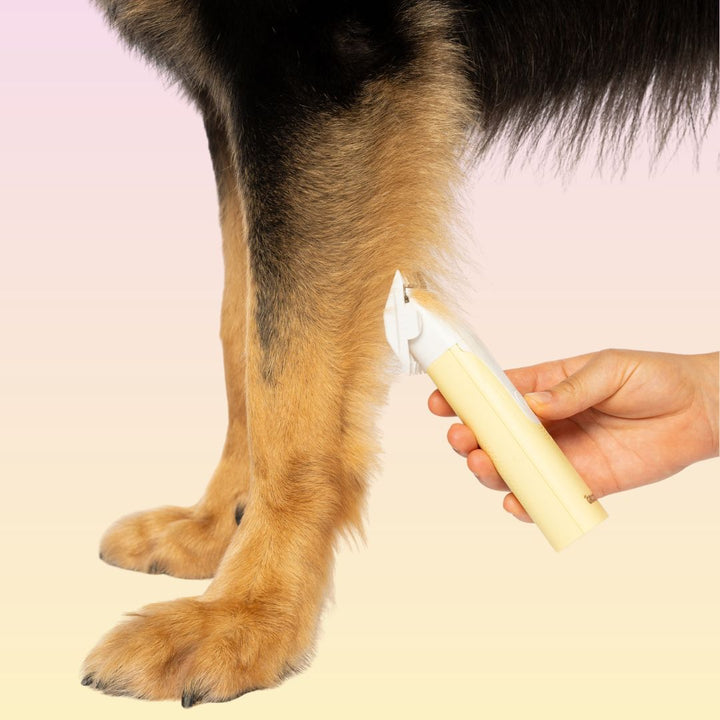 GROOMI 4-in-1 Pet Trimmer & Nail Kit: premium cordless PawSafe grooming tool for dogs and cats with precision heads for paws, body and nails, beginner-friendly design, quiet motor, safe nail guard and stainless-steel ceramic blades for stress-free grooming.
