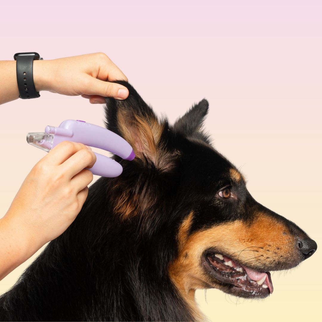 GROOMI™ 4-In-1 Nail Clipper