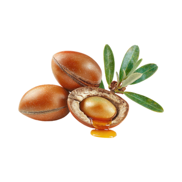 Argan Oil