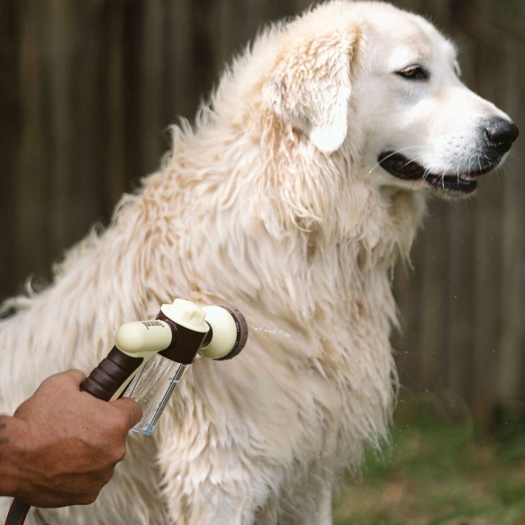 THE GROOMI: Hydro Hound — dog wash hose sprayer with foaming soap bottle, attaches to garden tap, adjustable spray, fast deep clean, removes mud and loose fur, mess-free bath, all breeds, at-home grooming, durable leak-proof fittings, saves time and water.
