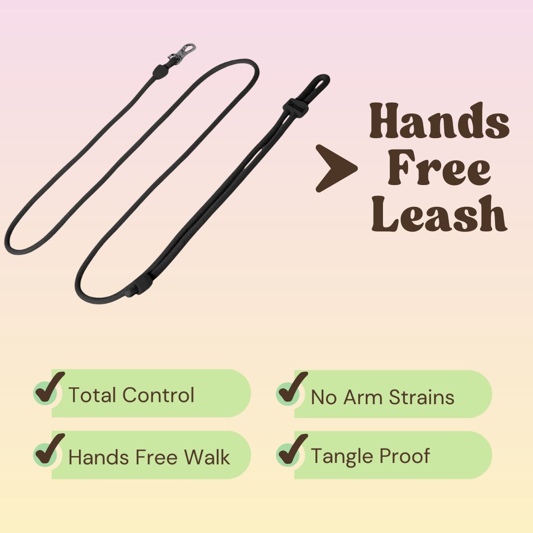 Walk Essentials Bundle