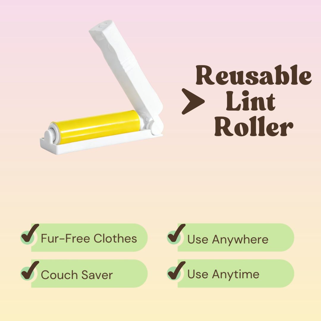 Walk Essentials Bundle