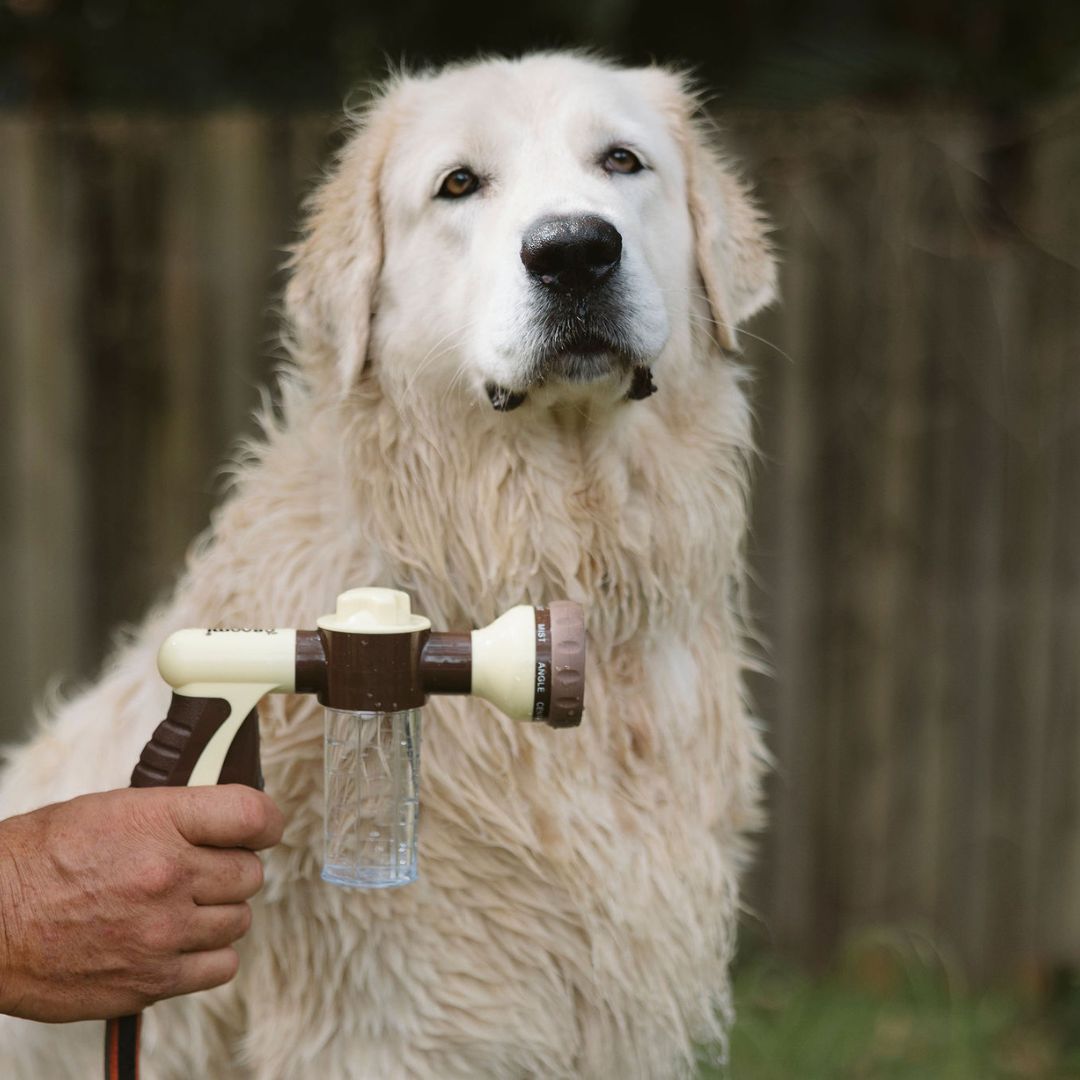 THE GROOMI: Bath Bundle — dog bathing kit, Hydro Hound hose sprayer, deshedding wash shampoo, grooming gloves, fast mess-free clean, removes dirt and loose fur, all breeds, at-home grooming, hypoallergenic formula, easy bath routine, saves time.