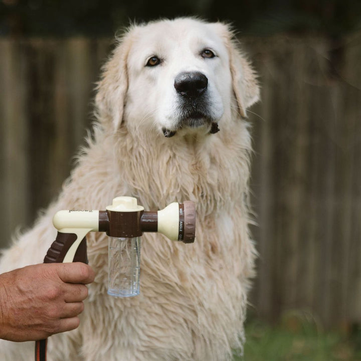 THE GROOMI: Bath Bundle — dog bathing kit, Hydro Hound hose sprayer, deshedding wash shampoo, grooming gloves, fast mess-free clean, removes dirt and loose fur, all breeds, at-home grooming, hypoallergenic formula, easy bath routine, saves time.