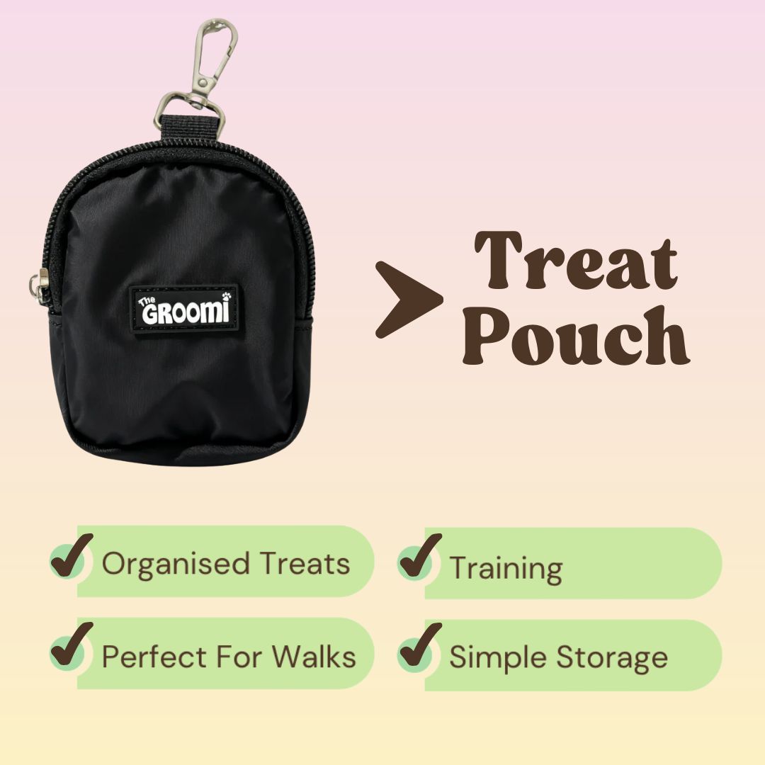 Walk Essentials Bundle