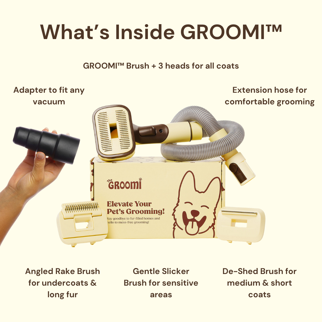The GROOMI Kit is a quick, mess-free dog grooming brush that connects to vacuums. Ideal for all dog hair types, it features three heads: Slicker, De-Shed, and Rake. This self-cleaning tool captures loose fur efficiently, is allergen-friendly, and perfect for home use. Reduces shedding, saves time, and maintains a clean, fur-free home. Includes a universal vacuum adapter and storage bag, making grooming simple and effective for any dog breed.
