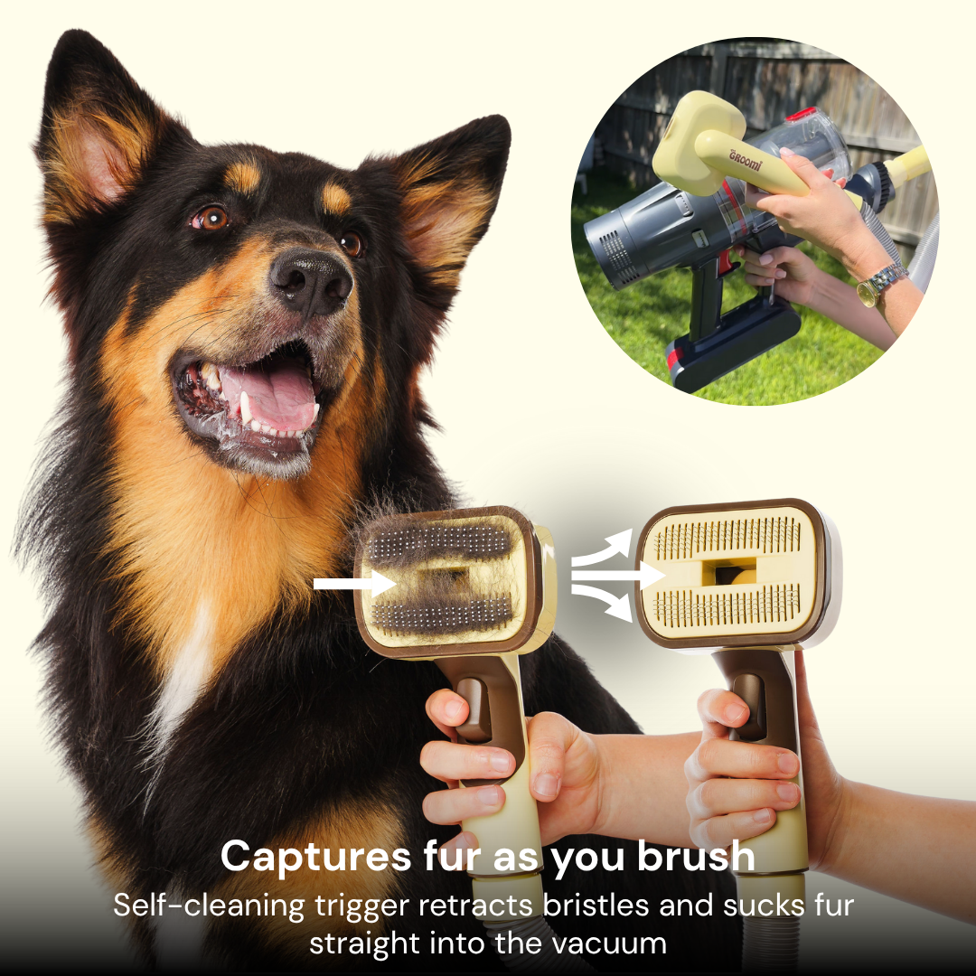 The GROOMI Kit is a quick, mess-free dog grooming brush that connects to vacuums. Ideal for all dog hair types, it features three heads: Slicker, De-Shed, and Rake. This self-cleaning tool captures loose fur efficiently, is allergen-friendly, and perfect for home use. Reduces shedding, saves time, and maintains a clean, fur-free home. Includes a universal vacuum adapter and storage bag, making grooming simple and effective for any dog breed.