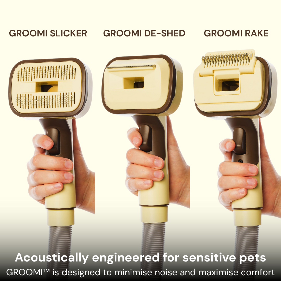 The GROOMI Kit is a quick, mess-free dog grooming brush that connects to vacuums. Ideal for all dog hair types, it features three heads: Slicker, De-Shed, and Rake. This self-cleaning tool captures loose fur efficiently, is allergen-friendly, and perfect for home use. Reduces shedding, saves time, and maintains a clean, fur-free home. Includes a universal vacuum adapter and storage bag, making grooming simple and effective for any dog breed.
