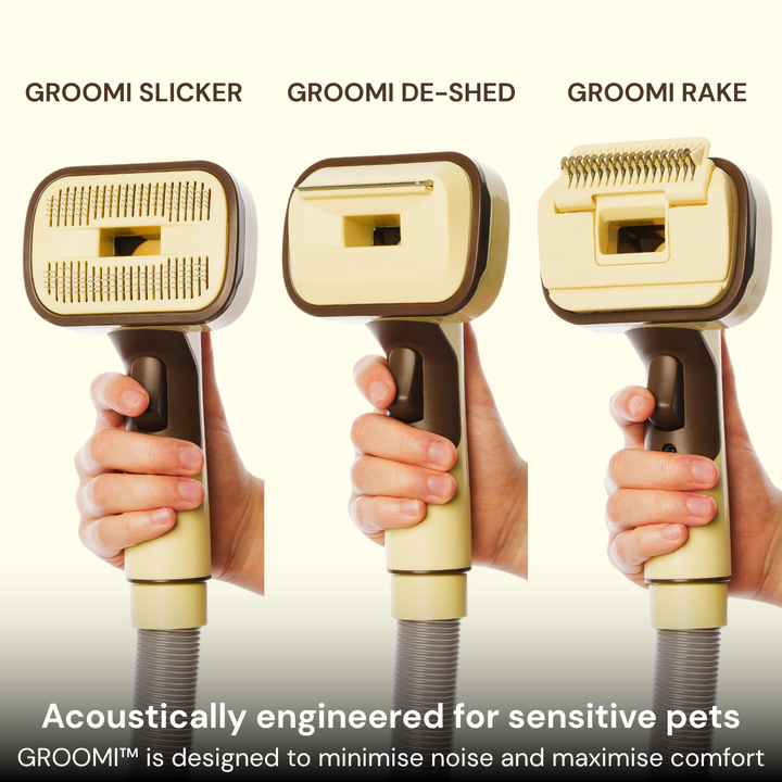 The GROOMI Kit is a quick, mess-free dog grooming brush that connects to vacuums. Ideal for all dog hair types, it features three heads: Slicker, De-Shed, and Rake. This self-cleaning tool captures loose fur efficiently, is allergen-friendly, and perfect for home use. Reduces shedding, saves time, and maintains a clean, fur-free home. Includes a universal vacuum adapter and storage bag, making grooming simple and effective for any dog breed.