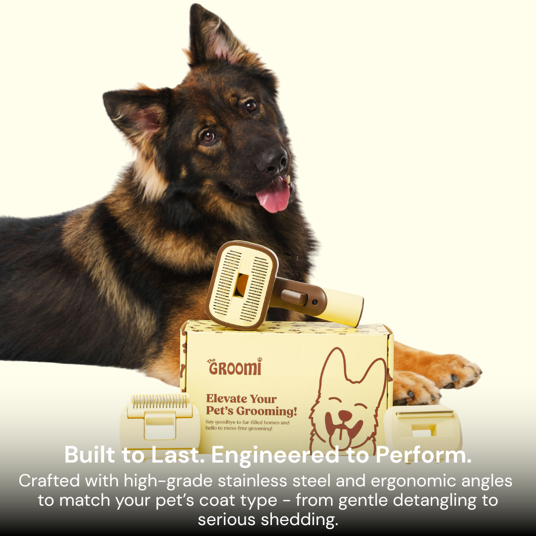 The GROOMI Kit is a quick, mess-free dog grooming brush that connects to vacuums. Ideal for all dog hair types, it features three heads: Slicker, De-Shed, and Rake. This self-cleaning tool captures loose fur efficiently, is allergen-friendly, and perfect for home use. Reduces shedding, saves time, and maintains a clean, fur-free home. Includes a universal vacuum adapter and storage bag, making grooming simple and effective for any dog breed.