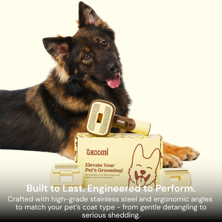 The GROOMI Kit is a quick, mess-free dog grooming brush that connects to vacuums. Ideal for all dog hair types, it features three heads: Slicker, De-Shed, and Rake. This self-cleaning tool captures loose fur efficiently, is allergen-friendly, and perfect for home use. Reduces shedding, saves time, and maintains a clean, fur-free home. Includes a universal vacuum adapter and storage bag, making grooming simple and effective for any dog breed.