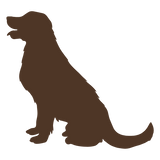 Long Coats