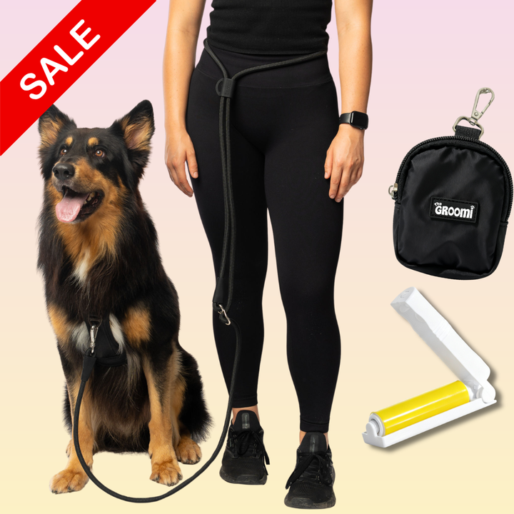 Walk Essentials Bundle