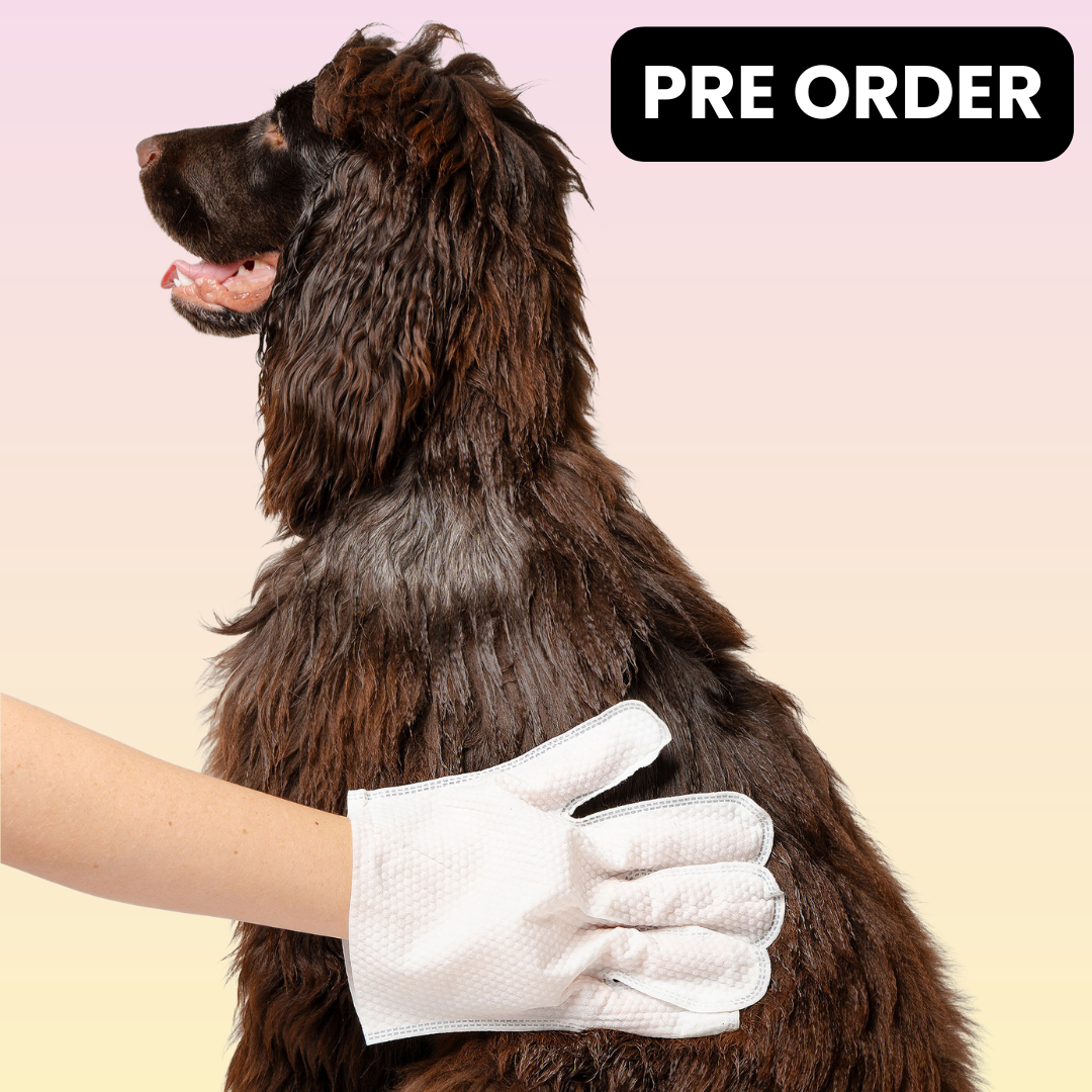 THE GROOMI: Groomi Glove Wipes — glove-shaped pet cleaning wipes, rinse-free full-body clean, removes dirt and odor, durable soft non-tearing, individually sealed, hydrating, hypoallergenic, for dogs & cats, travel friendly, quick cleanup between baths, grooming essentials.