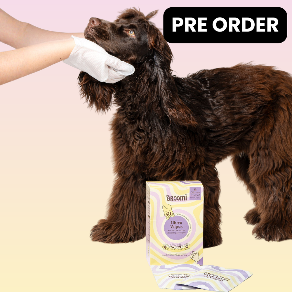 THE GROOMI: Groomi Glove Wipes — glove-shaped pet cleaning wipes, rinse-free full-body clean, removes dirt and odor, durable soft non-tearing, individually sealed, hydrating, hypoallergenic, for dogs & cats, travel friendly, quick cleanup between baths, grooming essentials.