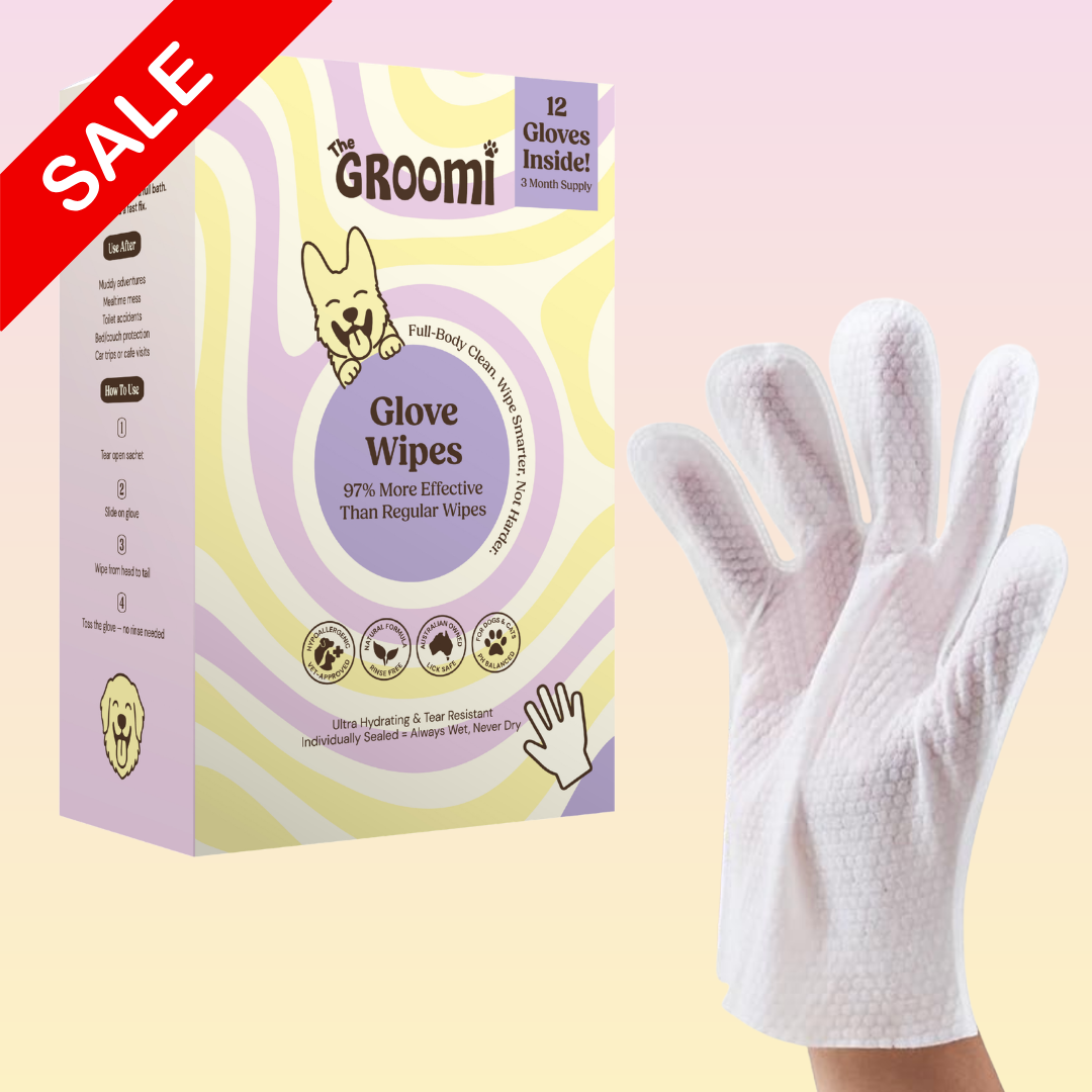 THE GROOMI: Groomi Glove Wipes — glove-shaped pet cleaning wipes, rinse-free full-body clean, removes dirt and odor, durable soft non-tearing, individually sealed, hydrating, hypoallergenic, for dogs & cats, travel friendly, quick cleanup between baths, grooming essentials.