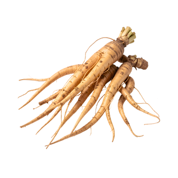 Ginseng