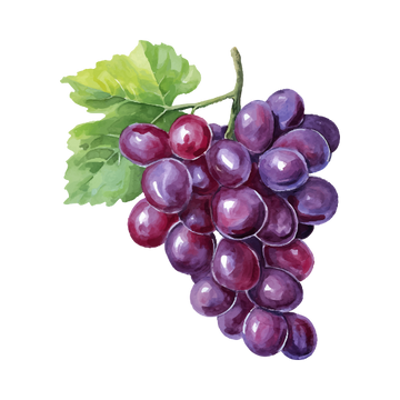 Grape Seed Oil