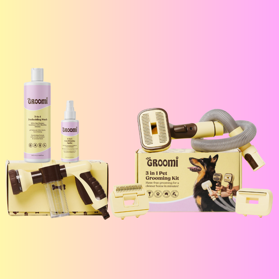 Brush & Bath Bundle