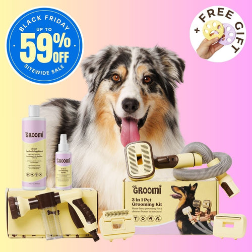 The GROOMI Brush & Bath Bundle: the 3-In-1 Vacuum Pet Brush, Hydro Hound Dog Wash Kit, 3-In-1 Deshedding Wash and Conditioning Spritz. A complete at-home dog grooming kit that brushes loose fur straight into your vacuum, washes with less mess and leaves the coat clean, soft and fresh.