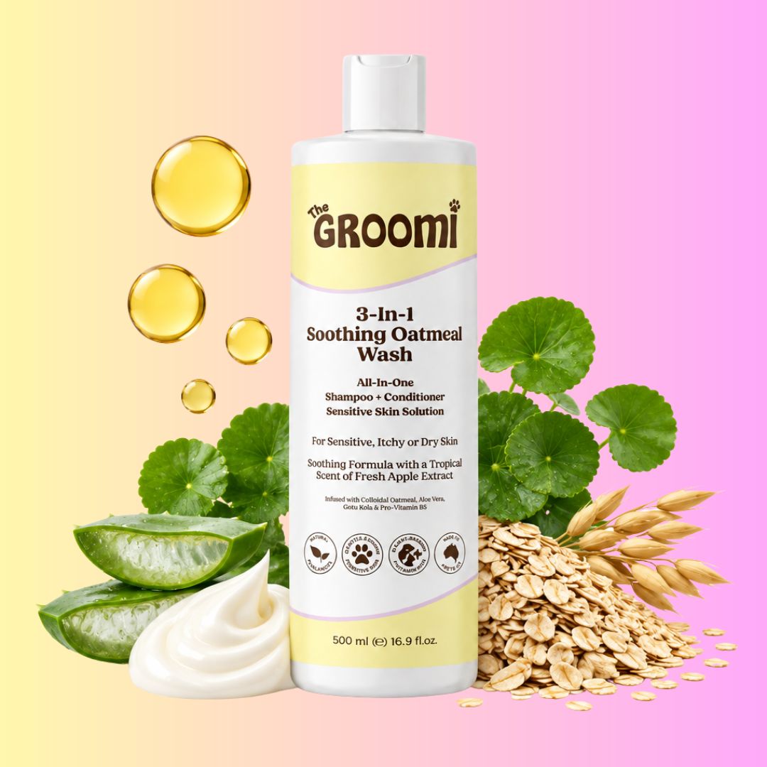 3-In-1 Soothing Oatmeal Wash by The GROOMI. Gentle all-in-one dog shampoo and conditioner with colloidal oatmeal and aloe vera that calms sensitive, itchy or dry skin.