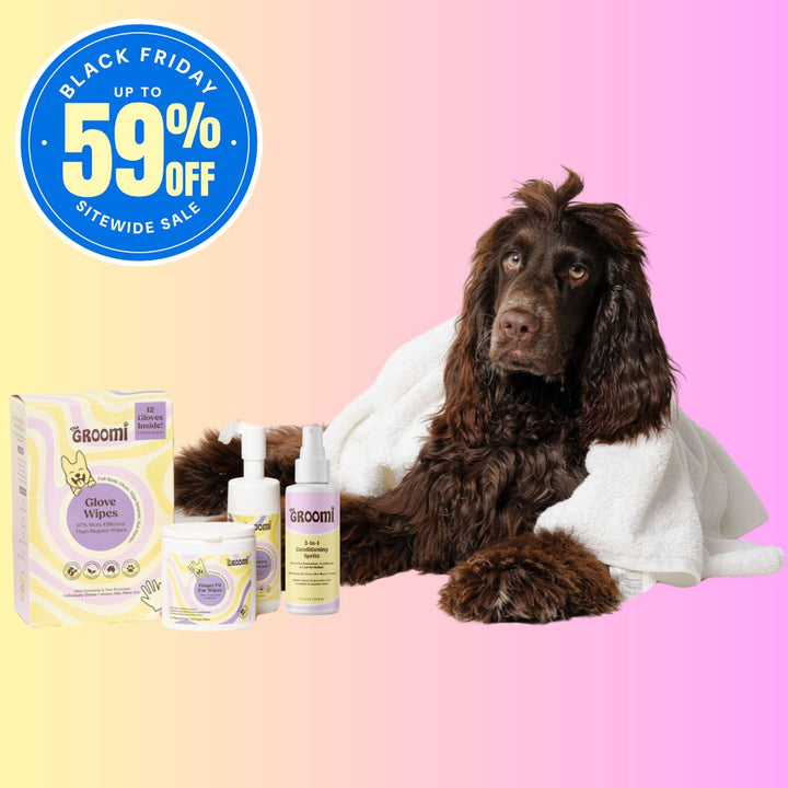 The GROOMI No-Bath Bundle for dogs: Glove Wipes, 3-in-1 Conditioning Spritz, Foaming Paw Wash and Finger Fit Ear Wipes. A waterless dog grooming kit that cleans the coat, paws and ears and leaves fur soft and fresh, with no bath needed. Great for dogs who hate bath time.