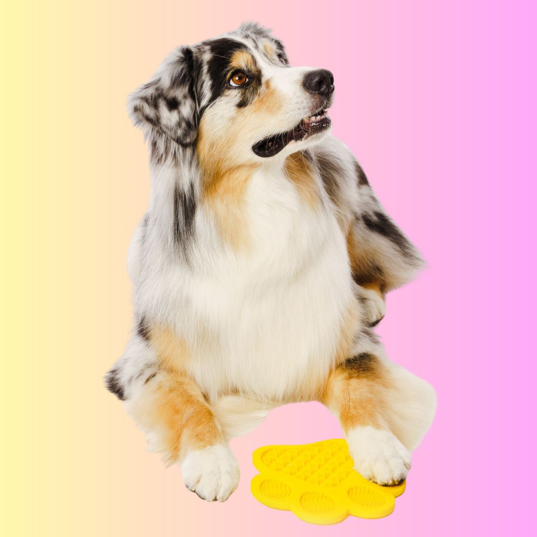 THE GROOMI: Lick Mat — dog licking mat, bath-time distraction, anxiety relief, slow feeder, reduces boredom and stress, grooming aid, suction cups, BPA-free silicone, dishwasher and freezer safe, spread peanut butter or yogurt, promotes calm and better dental health.