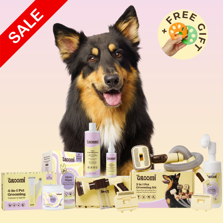 Ultimate GROOMI™ Bundle