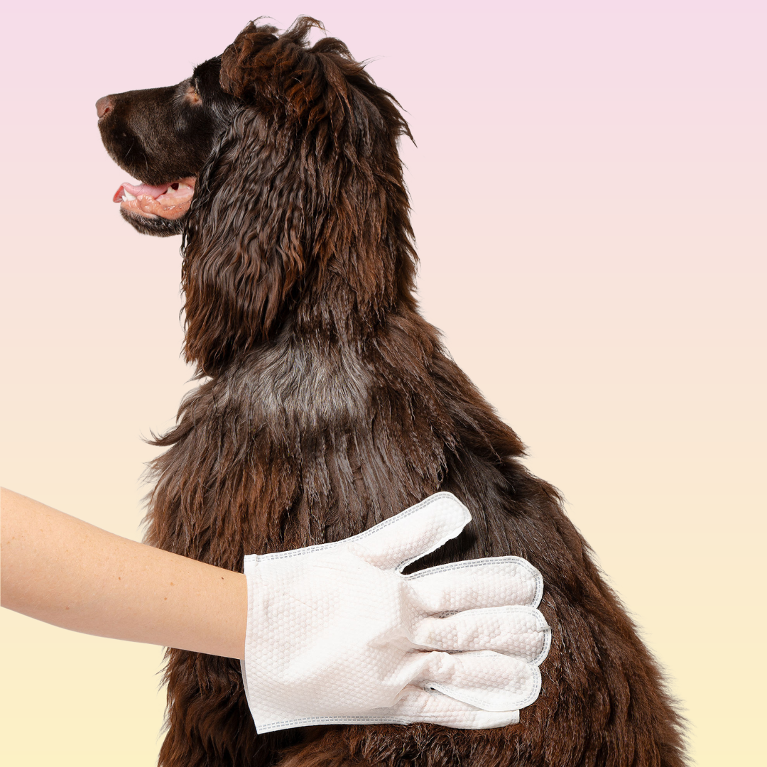 THE GROOMI: Groomi Glove Wipes — glove-shaped pet cleaning wipes, rinse-free full-body clean, removes dirt and odor, durable soft non-tearing, individually sealed, hydrating, hypoallergenic, for dogs & cats, travel friendly, quick cleanup between baths, grooming essentials.