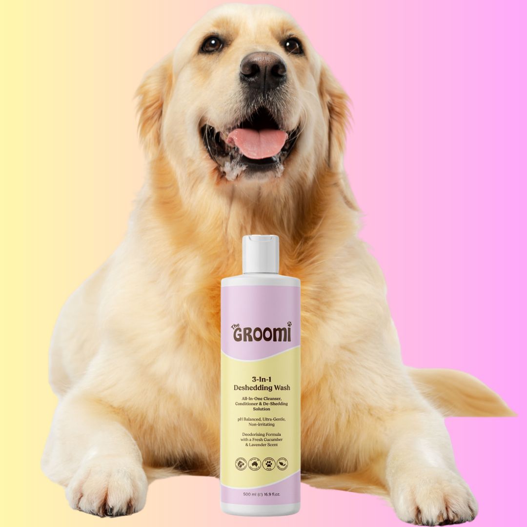 The GROOMI 3-In-1 Deshedding Wash, a 500ml dog shampoo that cleans, conditions and helps reduce shedding in one wash. pH balanced, ultra gentle and non-irritating, with a deodorising cucumber and lavender scent. Leaves coats soft, shiny and fresh.
