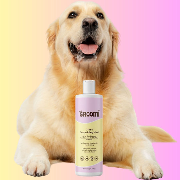 The GROOMI 3-In-1 Deshedding Wash, a 500ml dog shampoo that cleans, conditions and helps reduce shedding in one wash. pH balanced, ultra gentle and non-irritating, with a deodorising cucumber and lavender scent. Leaves coats soft, shiny and fresh.