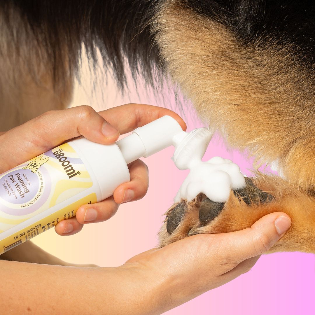 THE GROOMI: Foaming Paw Wash — no-rinse dog paw cleaner, foaming soap-free formula, removes mud dirt odor after walks, quick mess-free clean, gentle hypoallergenic, moisturising, safe for puppies, travel-friendly 120ml, pet grooming essentials.