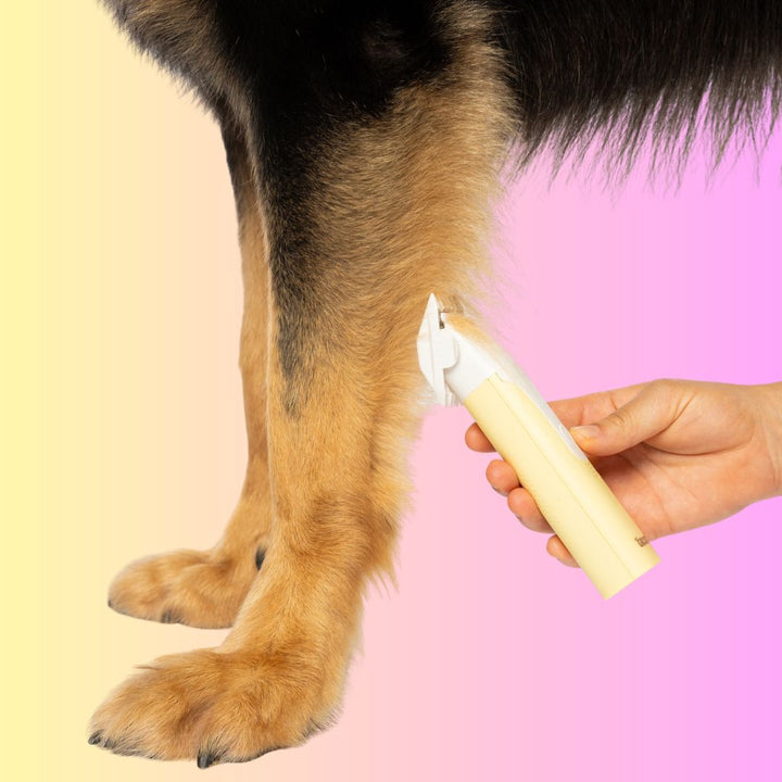 GROOMI 4-in-1 Pet Trimmer & Nail Kit: premium cordless PawSafe grooming tool for dogs and cats with precision heads for paws, body and nails, beginner-friendly design, quiet motor, safe nail guard and stainless-steel ceramic blades for stress-free grooming.