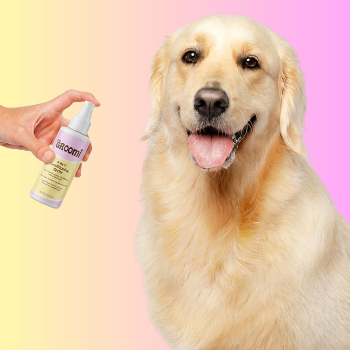 THE GROOMI: 3-in-1 Conditioning Spritz — leave-in pet conditioning spray, detangles, deodorizes, hydrates, reduces static, adds shine, quick freshen-up between baths, hypoallergenic, gentle daily use, safe for dogs & cats, grooming finisher, fresh scent.
