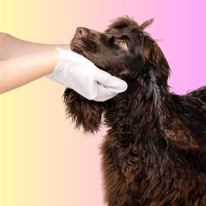 THE GROOMI: Groomi Glove Wipes — glove-shaped pet cleaning wipes, rinse-free full-body clean, removes dirt and odor, durable soft non-tearing, individually sealed, hydrating, hypoallergenic, for dogs & cats, travel friendly, quick cleanup between baths, grooming essentials.