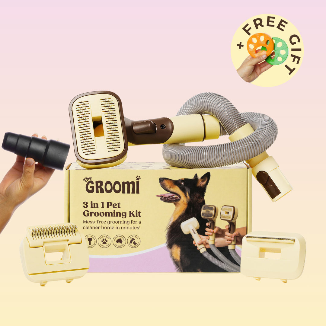 THE GROOMI: GROOMI 3-in-1 Vacuum Pet Brush Kit — self-cleaning dog grooming brush, slicker rake deshed heads, fits any vacuum up to 45mm, removes loose fur, mess-free de-shedding, for short medium long coats, reduces shedding allergies, at-home grooming tool.