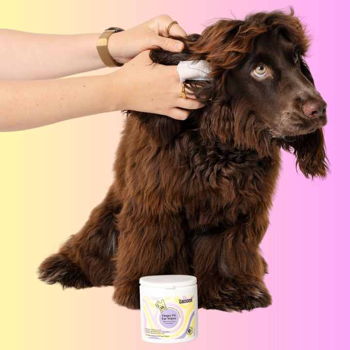 THE GROOMI: GROOMI™ Ear Wipes — dog & cat ear cleaning wipes, finger-shaped textured, removes wax dirt odor, gentle witch hazel rosemary, hypoallergenic, vet-approved, mess-free, 50 pack, prevents infections, pet grooming, sensitive ears, fast easy at-home care.