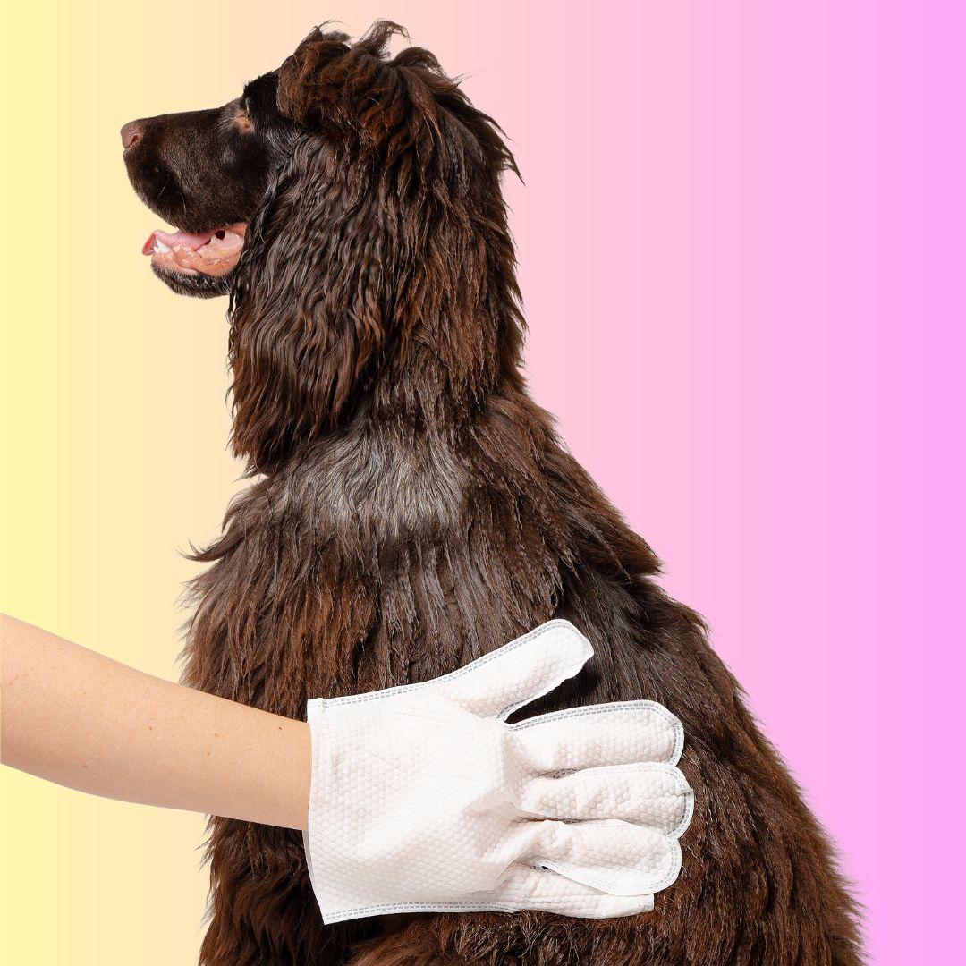 THE GROOMI: Groomi Glove Wipes — glove-shaped pet cleaning wipes, rinse-free full-body clean, removes dirt and odor, durable soft non-tearing, individually sealed, hydrating, hypoallergenic, for dogs & cats, travel friendly, quick cleanup between baths, grooming essentials.
