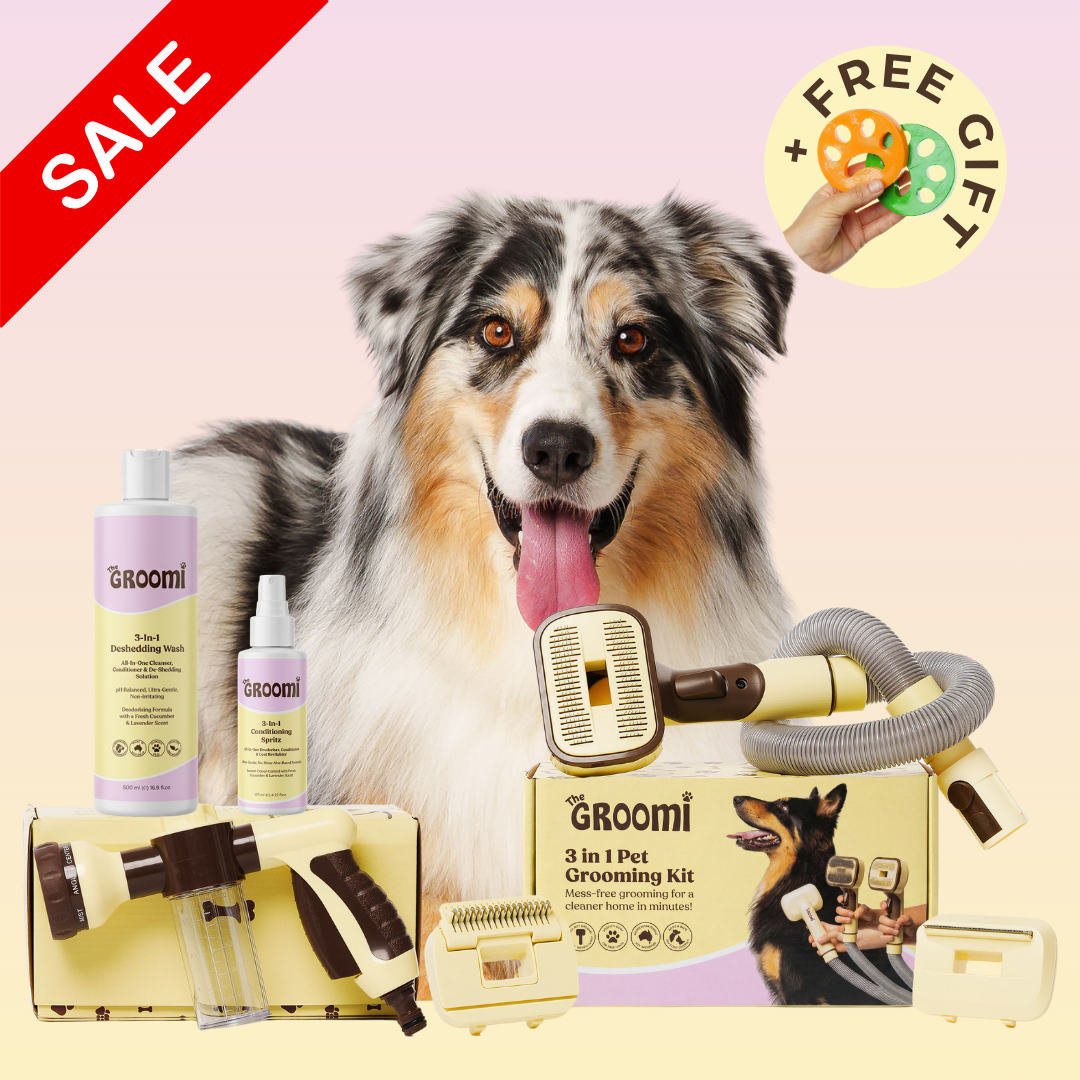 THE GROOMI: Brush & Bath Bundle — 3-in-1 vacuum pet brush + Hydro Hound sprayer + deshedding wash, mess-free grooming, removes loose fur and dirt, self-cleaning brush, fits most vacuums, fast at-home dog bath, hypoallergenic formula, for short medium long coats, reduces shedding and allergens.