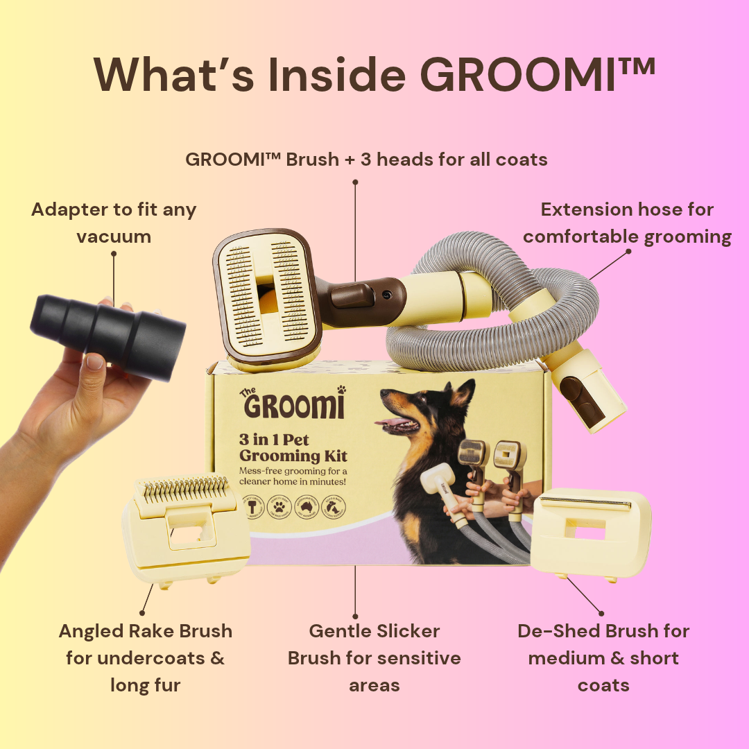 THE GROOMI: GROOMI 3-in-1 Vacuum Pet Brush Kit — self-cleaning dog grooming brush, slicker rake deshed heads, fits any vacuum up to 45mm, removes loose fur, mess-free de-shedding, for short medium long coats, reduces shedding allergies, at-home grooming tool.