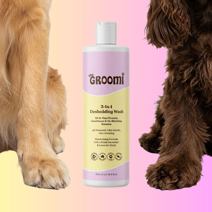The GROOMI 3-In-1 Deshedding Wash, a 500ml dog shampoo that cleans, conditions and helps reduce shedding in one wash. pH balanced, ultra gentle and non-irritating, with a deodorising cucumber and lavender scent. Leaves coats soft, shiny and fresh.
