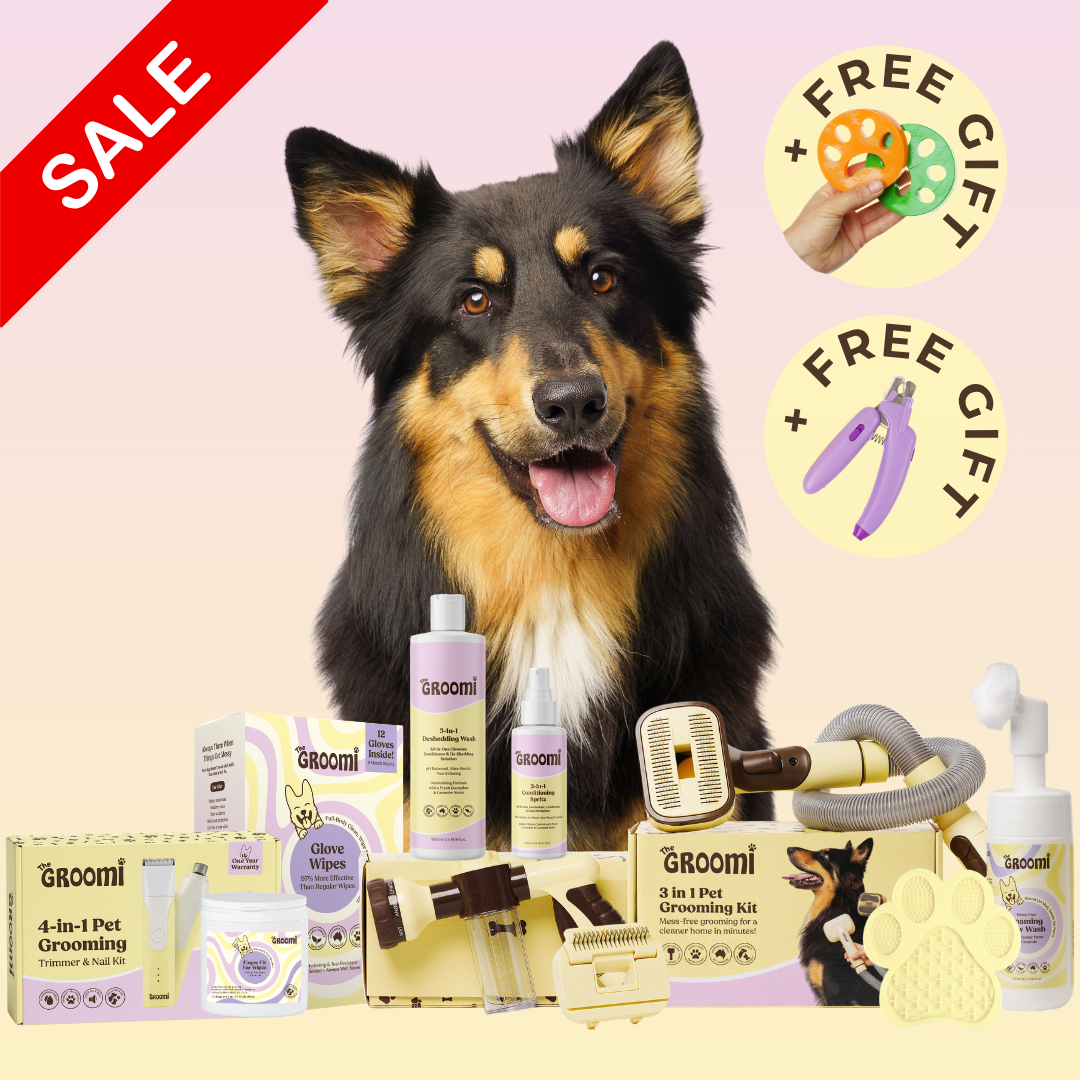 Ultimate GROOMI™ Bundle