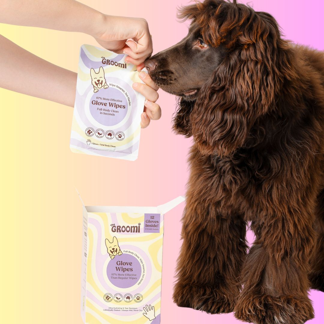 THE GROOMI: Groomi Glove Wipes — glove-shaped pet cleaning wipes, rinse-free full-body clean, removes dirt and odor, durable soft non-tearing, individually sealed, hydrating, hypoallergenic, for dogs & cats, travel friendly, quick cleanup between baths, grooming essentials.