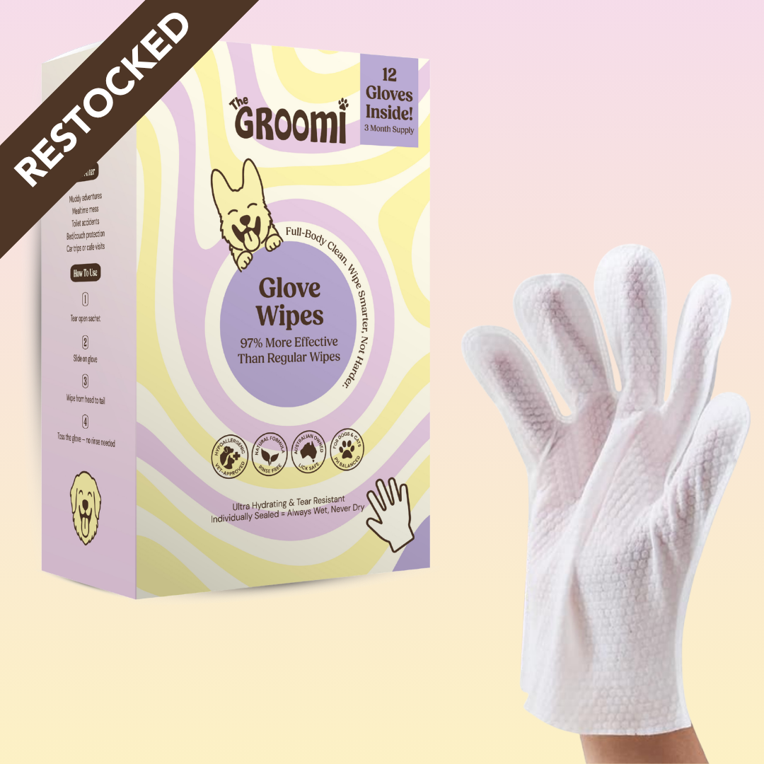THE GROOMI: Groomi Glove Wipes — glove-shaped pet cleaning wipes, rinse-free full-body clean, removes dirt and odor, durable soft non-tearing, individually sealed, hydrating, hypoallergenic, for dogs & cats, travel friendly, quick cleanup between baths, grooming essentials.