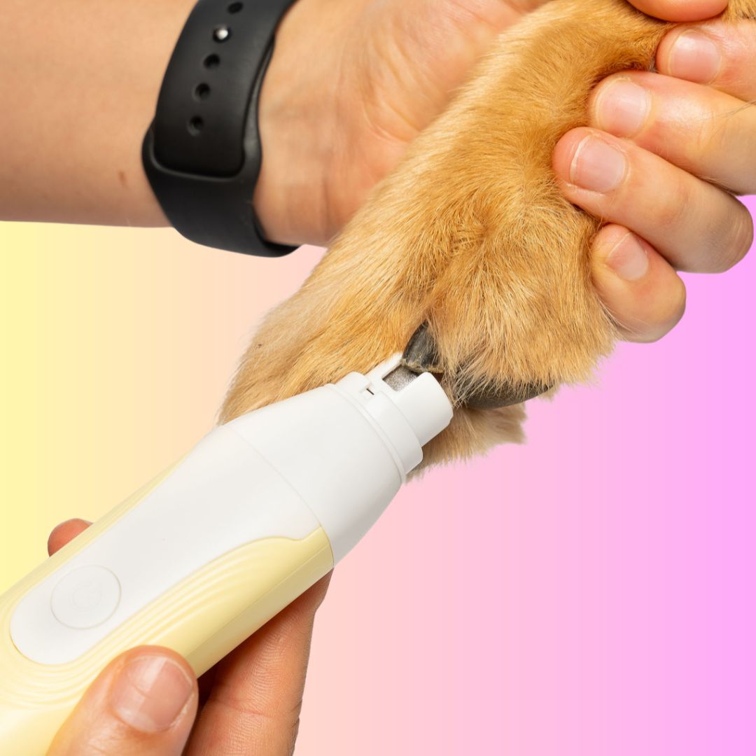 GROOMI 4-in-1 Pet Trimmer & Nail Kit: premium cordless PawSafe grooming tool for dogs and cats with precision heads for paws, body and nails, beginner-friendly design, quiet motor, safe nail guard and stainless-steel ceramic blades for stress-free grooming.