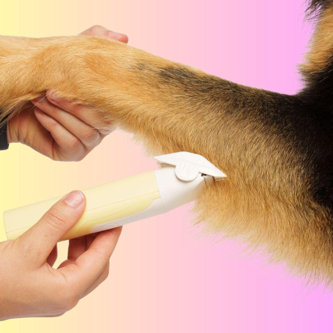 GROOMI 4-in-1 Pet Trimmer & Nail Kit: premium cordless PawSafe grooming tool for dogs and cats with precision heads for paws, body and nails, beginner-friendly design, quiet motor, safe nail guard and stainless-steel ceramic blades for stress-free grooming.