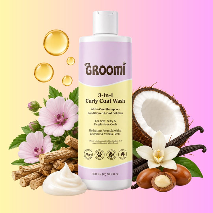 3-In-1 Curly Coat Wash by The GROOMI. All-in-one dog shampoo and conditioner with coconut oil and argan oil that leaves curly coats soft, silky and tangle-free.